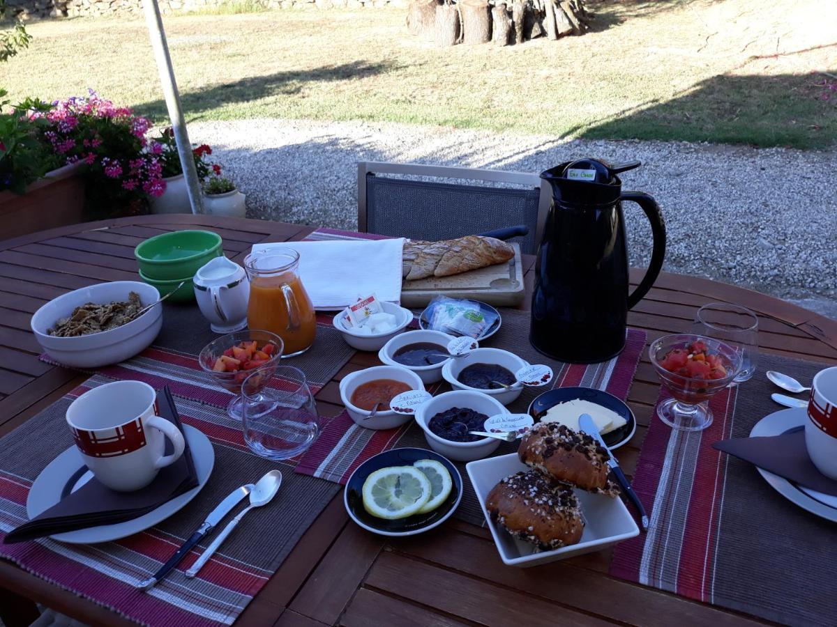 카르카손 Chez Yvette , C'Est Chouette!! B&B 외부 사진